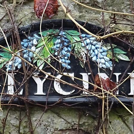 Le Glycine A Manoir Sainte Cecile Apartment Juvigny-Val-d'Andaine Luaran gambar
