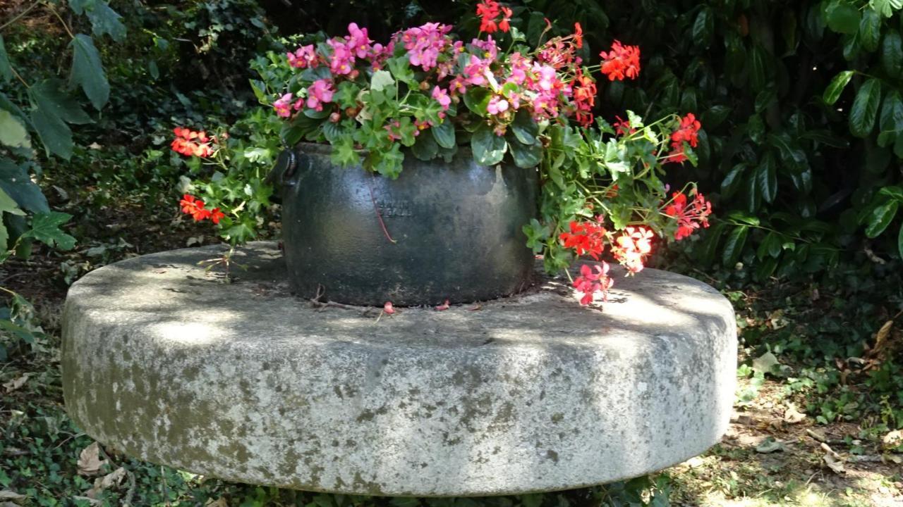 Le Glycine A Manoir Sainte Cecile Apartment Juvigny-Val-d'Andaine Luaran gambar